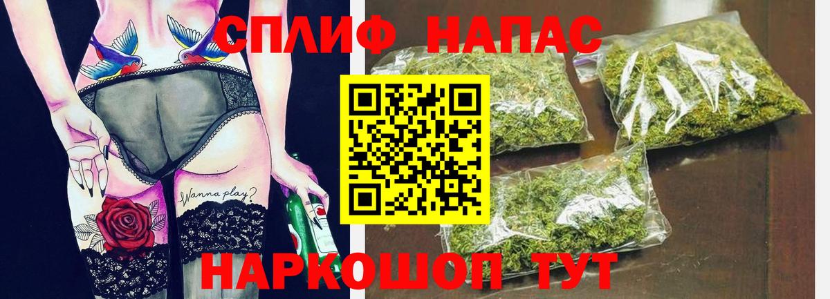 Шишки марихуана план Мыски